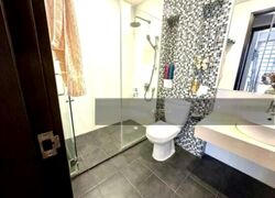 Mount Sinai (D10), Terrace #464309341